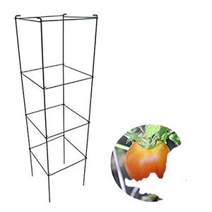 Cage de Support en métal galvanisé de 2 m, Cage pour plantes, tomate de 48 pouces, avec 3/4 anneaux - Product Image 1