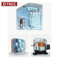 Unité de condensation pour machine à glaçons Tianke avec compresseur 220V, compatible R600a, R134a, R290, automatique et écologique pour plusieurs types