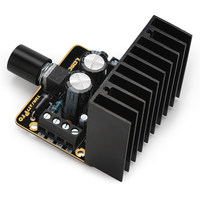 Module amplificateur TDA7377 12V double canal stéréo 30W*2 de qualité automobile pour haut-parleur DIY et audio de voiture