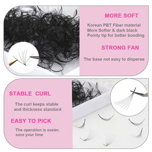 SP EYELASH Éventails Promade Ultra-Rapides Faits Main 3D-20D 0.05 0.07 Cils Éventails Pré-faits Base Pointue Volume Courbures C CC D DD En Vrac 1000 Éventails - Product Image 3