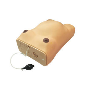 Livraison de simulateur d'examen de maternité en sciences médicales et modèle de <span class=keywords><strong>formation</strong></span> des compétences des spécialistes maternels - Product Image 2