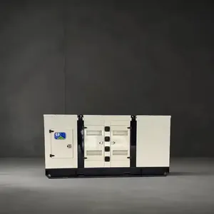 Weichai Yuchai 6BT Groupes électrogènes électriques Méthane CNG GNL Bois Gaz Biomasse Turbine alimentée Récupération de la chaleur résiduelle pour le biogaz