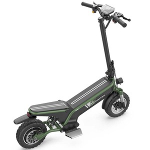 China 500W motor potente de dos ruedas 10 pulgadas grasa de neumáticos de carretera <span class=keywords><strong>scooter</strong></span> Eléctrico CON ASIENTO desmontable - Product Image 4