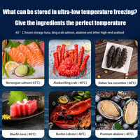 Affichage numérique horizontal de réfrigérateur de fruits de mer de porte simple ultra-basse commerciale pliant l'équipement de réfrigération essentiel