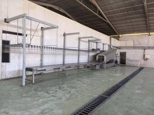 Macchina Trasportatrice a Nastro per Carcasse e Ossa di Polli e Anatre, Attrezzatura Automatica per Macellazione ad Alta Capacità - Product Image 5