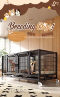 Grande cage à chat à 3 niveaux pour l'intérieur, enclos pour chat à monter soi-même, fil métallique détachable, cage à chat d'intérieur, espace d'exercice idéal pour les petits animaux