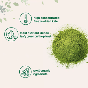 Grosir bubuk Kale kering beku organik bubuk Super bubuk organik - Product Image 3