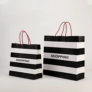 高品質黒白ショッピングペーパーバッグ、ツイストハンドル付き、格安クラフト、カスタムプリントロゴ、化粧品用クラフト紙袋 - Product Image 1