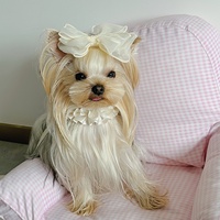Doux nœud noeud chien harnais doux respirant dentelle chiens gilet laisse en Nylon pour chiot poitrine sangle collier chien accessoires fournitures pour animaux de compagnie