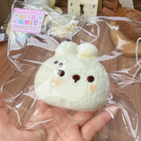 Jouet anti-stress réaliste en forme de lapin Boyue Squishy, en silicone de qualité alimentaire, à remontée lente, avec sac en PVC premium