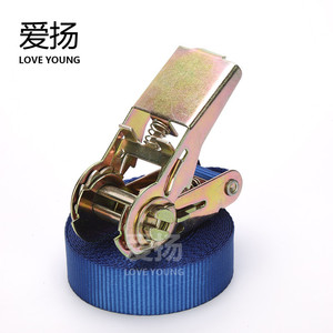 <span class=keywords><strong>Sangle</strong></span> à cliquet de 1 pouce, 25mm, serrage d'arrimage, attaches personnalisées, sangles de Transport, garde-boue - Product Image 1