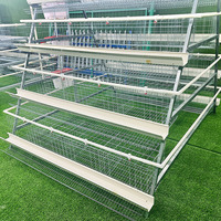 Cage à poules pondeuses galvanisée pour élevage en batterie, vente de cages pour poulets pondeuses, cage à poules pondeuses Rtl