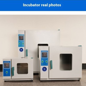 Fanen Lab <span class=keywords><strong>chauffage</strong></span> incubateur microbiologie 15L/42L/70L/136L/225L/640L électrique incubateur à température constante - Product Image 4