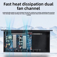 450w*2 Dijital Güç Amplifikatörü Yüksek Güçlü Profesyonel İki Kanallı Sahne Ses Sistemi Ev Ktv Şarkı Söyleme Metal