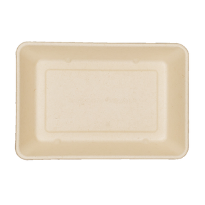 High quality biodegradable sugarcane bagasse lunch box with lid