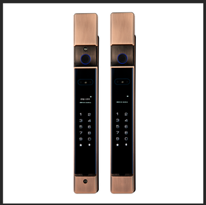 Hàng rào cổng không thấm nước nhận dạng khuôn mặt Palm tĩnh mạch mở khóa hoàn toàn tự động thông minh khóa vân tay với tuya - Product Image 5