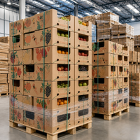Boîte à pommes de terre en carton ondulé robuste avec plusieurs trous de ventilation, carton kraft pour l'expédition d'oignons et de légumes racineux