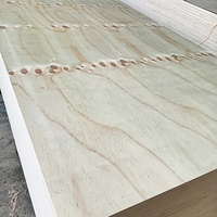 Contrachapado Estructural de Pino Radiata CDX de Primera Calidad, Ecológico e Impermeable de 18 mm para Construcción