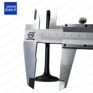 C7.1 lượng 336-5446 và xả 336-5447 van cho các bộ phận động cơ máy móc Sâu Bướm - Product Image 4