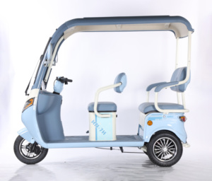 2025 nouveau 3 roues 1000W Scooter électrique corps ouvert 48V loisirs Tricycle Mini <span class=keywords><strong>moto</strong></span> électrique Ha Niu No.7 - Product Image 5