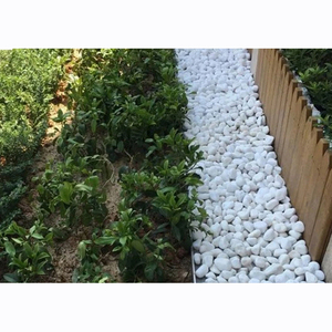<strong>Garden</strong> Home Decoration Landscaping Snow <strong>White</strong> <strong>Pebbles</strong> for Sale - Product Image 1