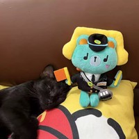 GMMTV Thai CP Porte-clés en peluche, figurine en peluche douce à habiller, jouet, ornement, cadeau d'anniversaire, décoration de bureau, cadeau pour fans