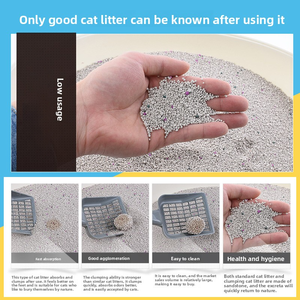 <span class=keywords><strong>Litière</strong></span> pour chat en bentonite à agglomération rapide, forme bande, 5 kg, blanche, écologique, au charbon actif minéral, en stock - Product Image 6