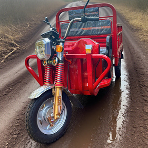 Triciclo Elettrico da Carico 1000W con 2 Posti Passeggeri, Veicolo a Tre Ruote 48V, Disponibile con Carrozzeria Aperta, Triciclo con Cassone Ribaltabile da 1 Tonnellata - Product Image 4