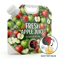 Pochette à bec verseur personnalisée avec robinet et poignée, qualité alimentaire, pour boissons, vin, jus, sirop 2L 3L