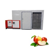 Professionele uien-droger, kokosvlees warmtepompdroger, machine voor het drogen van voedsel, groenten en fruit, appel, druif, rozijn droogapparatuur