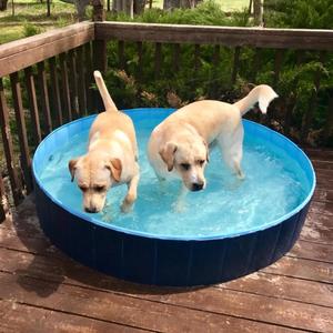160cm Extra Large Portable Dog Pet Pool Plastic folding Pets Bath Tub