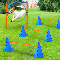 Kit d'entraînement d'agilité pour chien avec barre de saut et parcours d'obstacles combiné Équipement d'entraînement Premium pour animaux de compagnie
