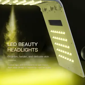 led infrared light therapy beauty skin rejuvenation photon light wrinkle acne removal face light therapy unit with steam