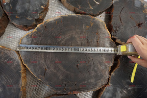 Mặt Bàn Gỗ Hóa Thạch Đen - Product Image 4