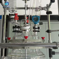 Reactor de Vidrio de 50L con Intercambiador de Calor de Vidrio, Reactor de Vidrio de Fase Sólida para Procesamiento Químico