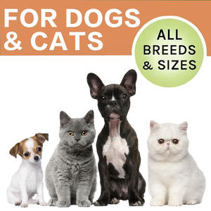 ผลิตภัณฑ์เสริมสุขภาพสุนัขและแมวน้ำยาเคลือบผิวหยดของเหลวเพื่อสุขภาพผิวเพื่อการผลัดและภูมิแพ้และบรรเทาอาการคัน - Product Image 6