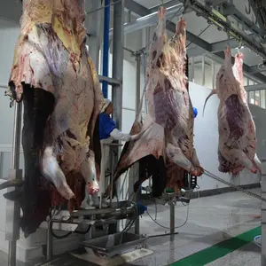 Équipement d'abattoir de vaches porcines Équipement de ligne d'abattage de bovins Abattoir de bovins et de poulets ovins