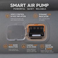 Pompe à air intégrée en gros avec commande vocale et lumière, gonflage et dégonflage à une touche, mini pompe à air rechargeable intégrée pour matelas pneumatique