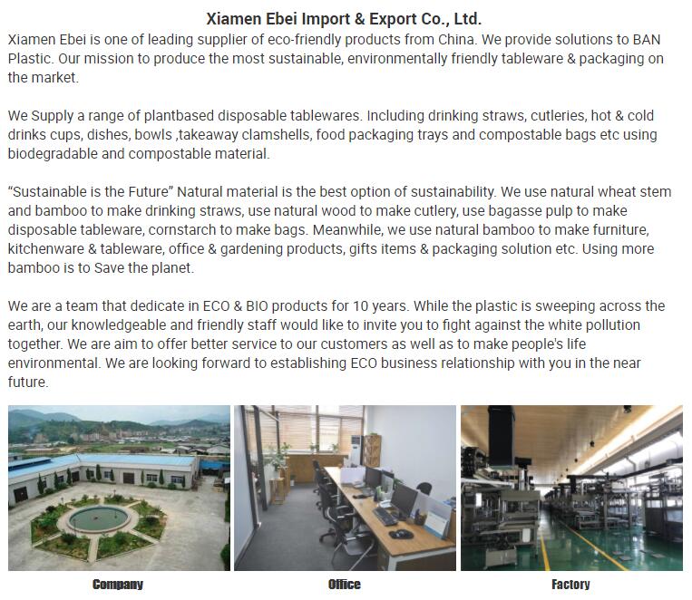 Wholesale Biodegradable Disposable Natural Bamboo Soup Spoon