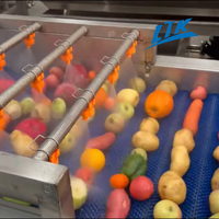 Volledig automatische machine voor het wassen, drogen en sorteren van groenten en fruit met bubbels, voor industriële verwerkingsbedrijven en landbouwgebruik.