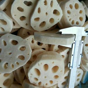 Замороженный корень лотоса IQF оптом: нарезанный ломтиками, кусочками, кубиками, целыми частями – натуральный, полезный продукт – оптовая продажа - Product Image 5