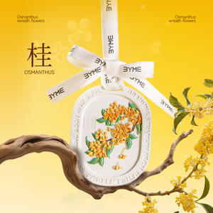 Tablette parfumée en gypse, parfum longue durée, aromathérapie pour armoire et voiture, diffuseur suspendu en gypse, comme cadeau souvenir - Product Image 2