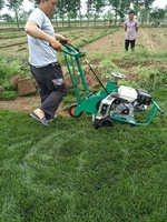 Coupe-herbe professionnel pour le retransplantation - Machine à couper le gazon à essence pour le déplacement de pelouse