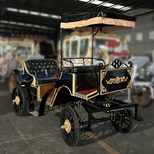 Carruaje Eléctrico Negro de Turismo con Detalles en Dorado y Toldo para Transporte de Turistas - Product Image 3