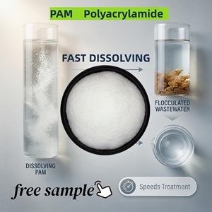 Polvo Aniónico y Catiónico, Precio de Fábrica, Poliacrilamida No Iónica de Grado Industrial, <span class=keywords><strong>Floculante</strong></span> PAM para Fluidos de Perforación y Textiles - Product Image 1