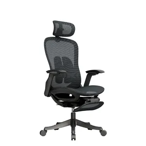 Ergonomic All Mesh Mesh Office Chair With Lumbar Support Foot Rest