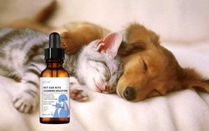 Shampooing <span class=keywords><strong>naturel</strong></span> pour animaux de compagnie pour chats chiens <span class=keywords><strong>Traitement</strong></span> efficace du bain pour les démangeaisons Infections fongiques à levures Réduit les infections pour la salle de bain - Product Image 2