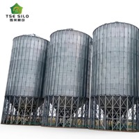 Silo Agricolo a Fondo a Tramoggia per Alimenti Zootecnici e Stoccaggio Grano, Capacità 100-2000 Tonnellate