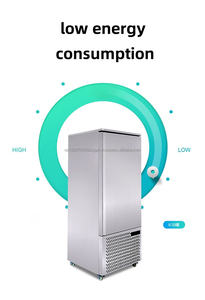 Buena calidad Vertical tipo Blast Freezer 3 bandejas Mini Blast Freezer Chiller para negocios - Product Image 2
