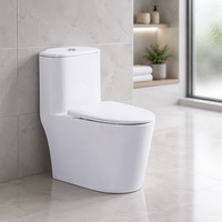 WC moderne monobloc en céramique à poser au sol, à chasse siphonique, économie d'eau, pour salle de bain et toilettes - Vente en gros